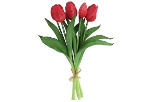 tulpen bos fuchcia
